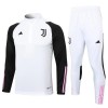 Juventus Quarter Zip Training Huppari Suits 2023-24 Valkoinen - Miesten